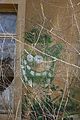 heilanstalt milbitz graffiti_088